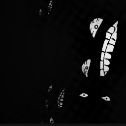 Always Watching