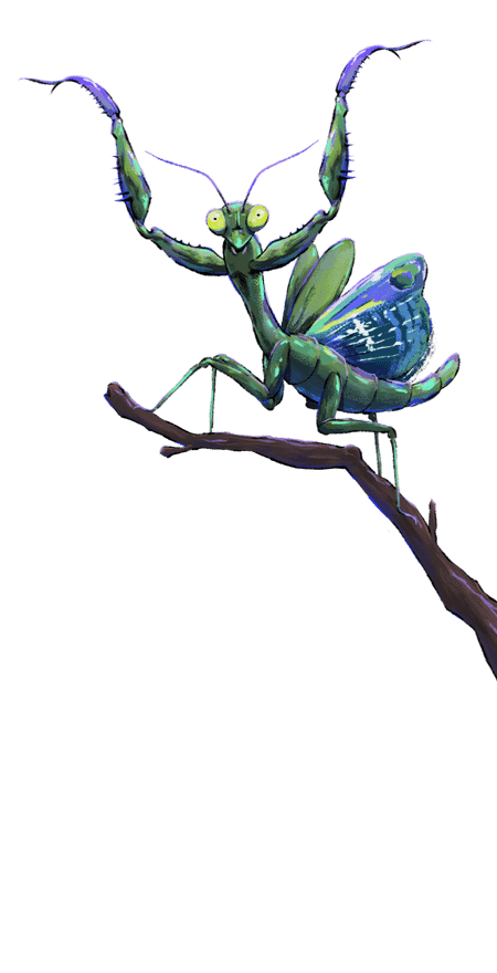 Praying Mantis