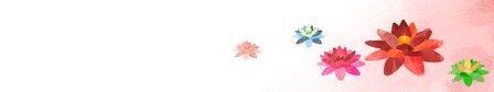Lotus Lanterns