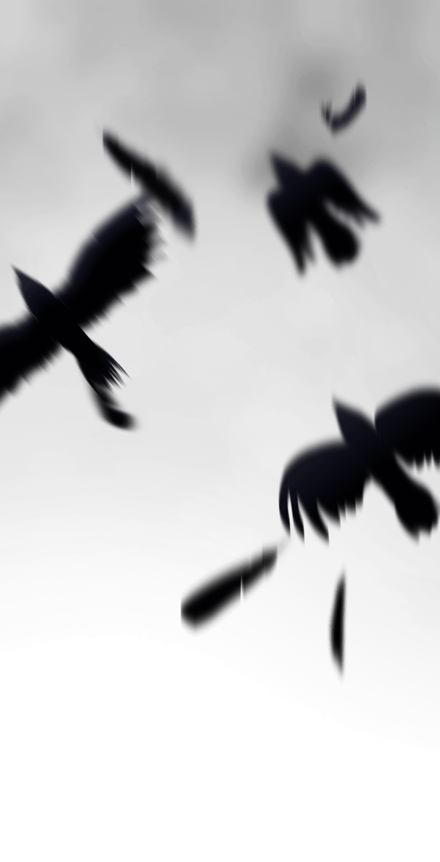 Nevermore