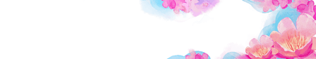 Petal Bloom