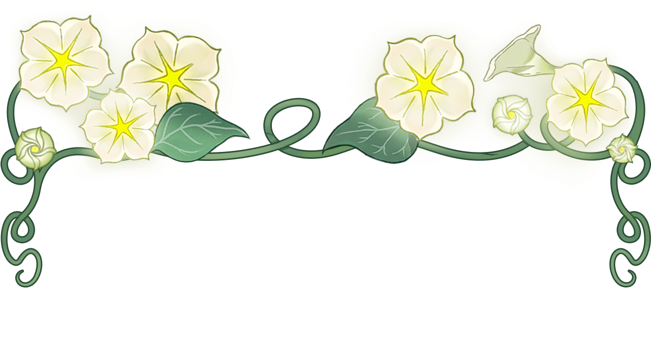 Moonflowers