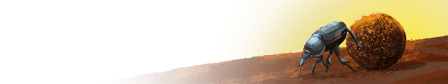 dung-beetle-nameplate