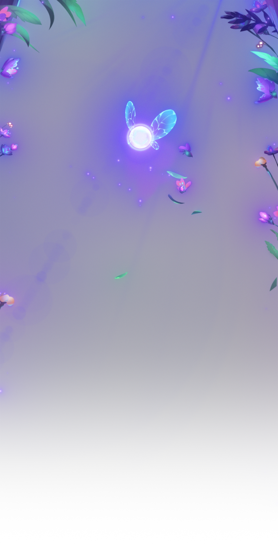 Enchanted Forest