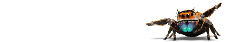 jumping-spider-nameplate