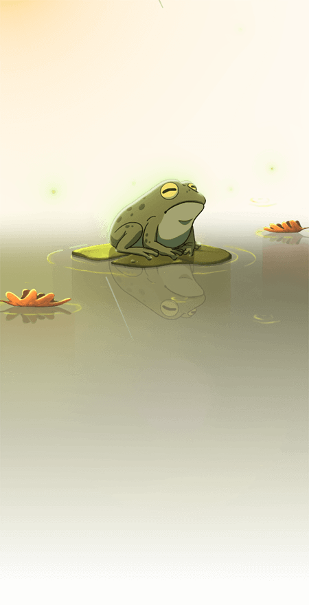 Lilypad Life