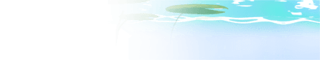 The Same Duck