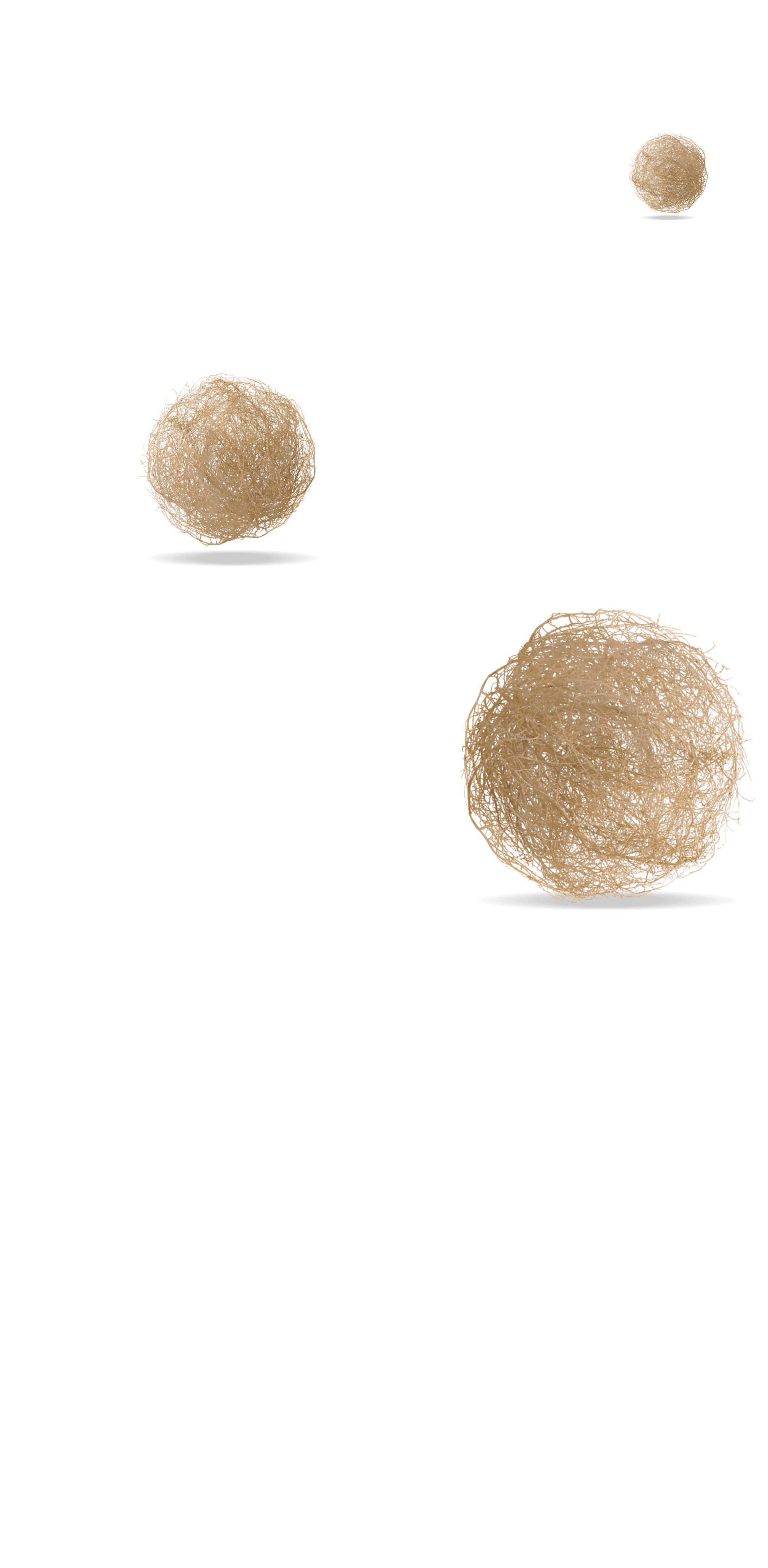 tumbleweeds